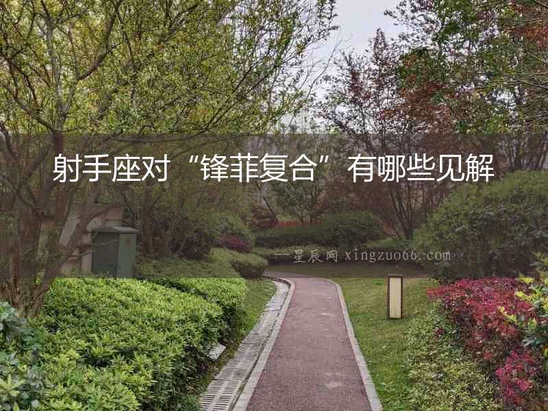 射手座對“鋒菲復合”有哪些見解