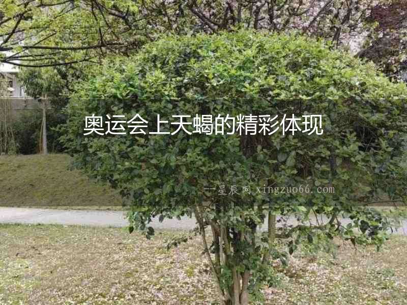 奧運(yùn)會上天蝎的精彩體現(xiàn)