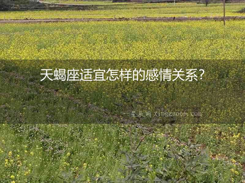 天蝎座適宜怎樣的感情關系？