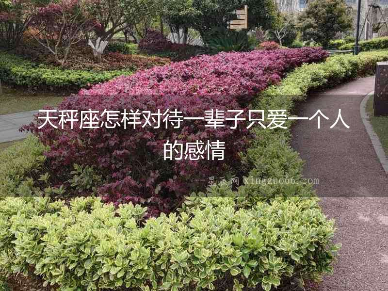 天秤座怎樣對待一輩子只愛一個人的感情
