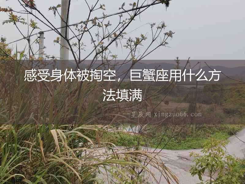 感受身體被掏空，巨蟹座用什么方法填滿