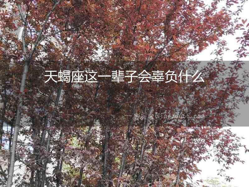 天蝎座這一輩子會辜負(fù)什么