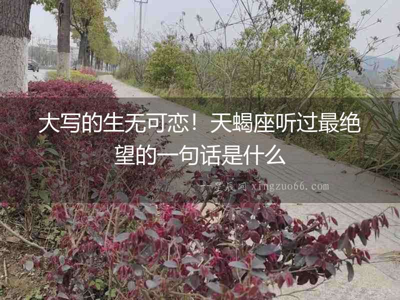 大寫的生無可戀！天蝎座聽過最絕望的一句話是什么