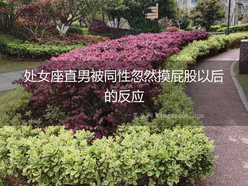 處女座直男被同性忽然摸屁股以后的反應
