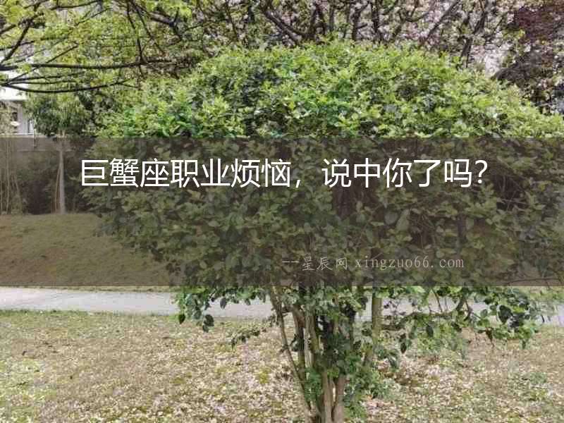 巨蟹座職業煩惱，說中你了嗎？