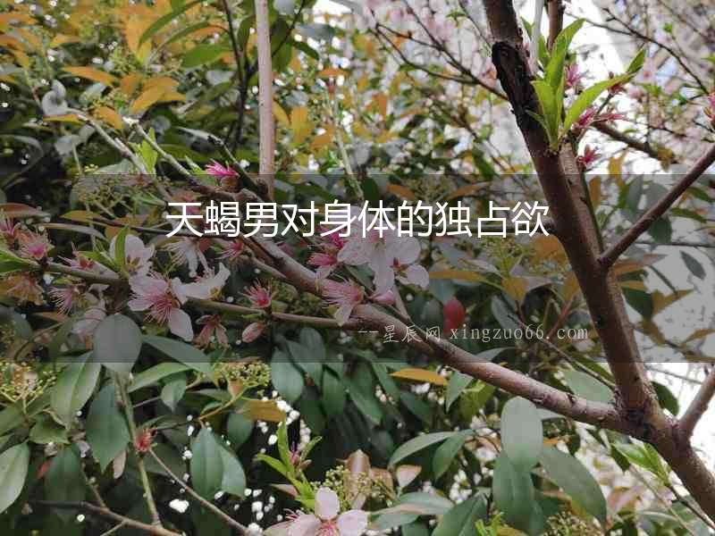 天蝎男對身體的獨(dú)占欲