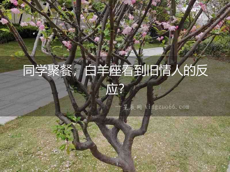同學聚餐，白羊座看到舊情人的反應？