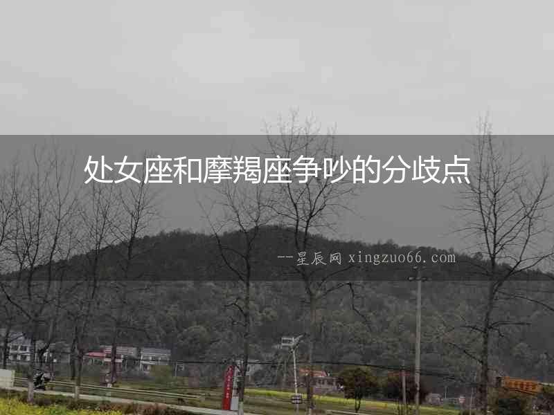 處女座和摩羯座爭吵的分歧點