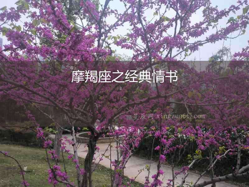 摩羯座之經典情書