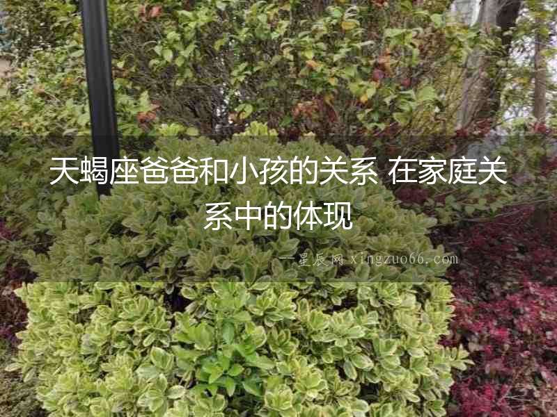 天蝎座爸爸和小孩的關系 在家庭關系中的體現