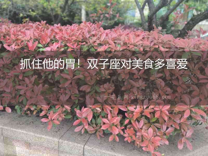 抓住他的胃！雙子座對美食多喜愛