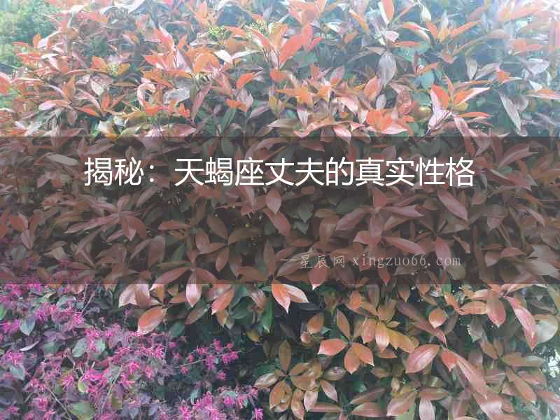 揭秘：天蝎座丈夫的真實性格