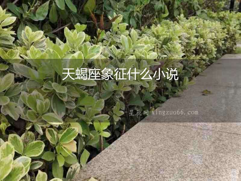 天蝎座象征什么小說
