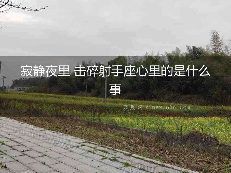 寂靜夜里 擊碎射手座心里的是什么事