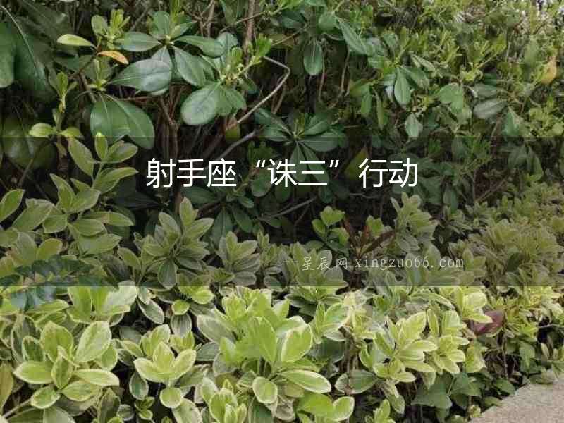 射手座“誅三”行動(dòng)