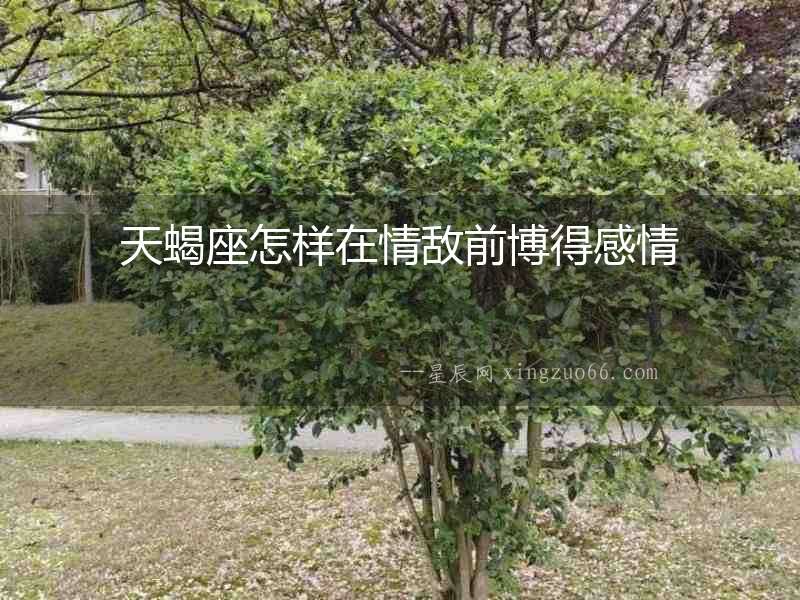 天蝎座怎樣在情敵前博得感情