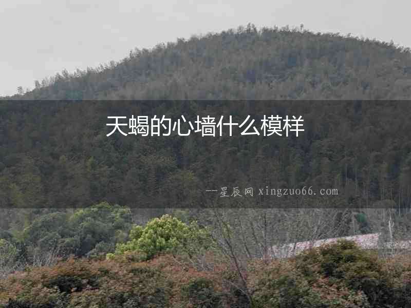天蝎的心墻什么模樣