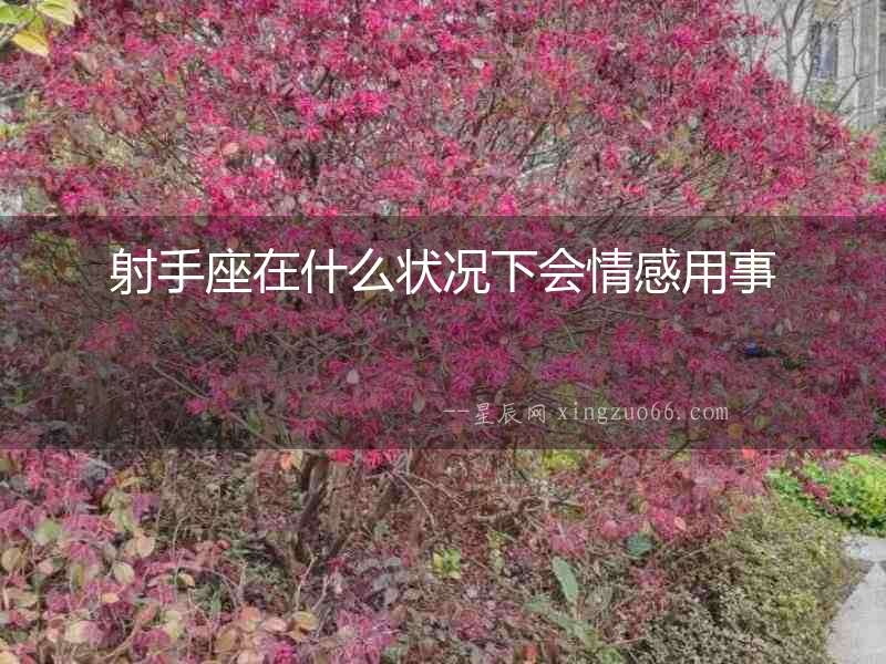 射手座在什么狀況下會情感用事