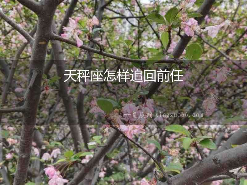 天秤座怎樣追回前任