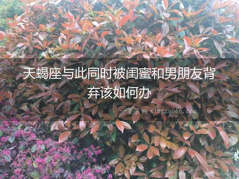 天蝎座與此同時被閨蜜和男朋友背棄該如何辦