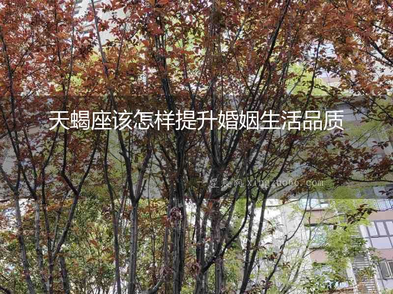 天蝎座該怎樣提升婚姻生活品質(zhì)