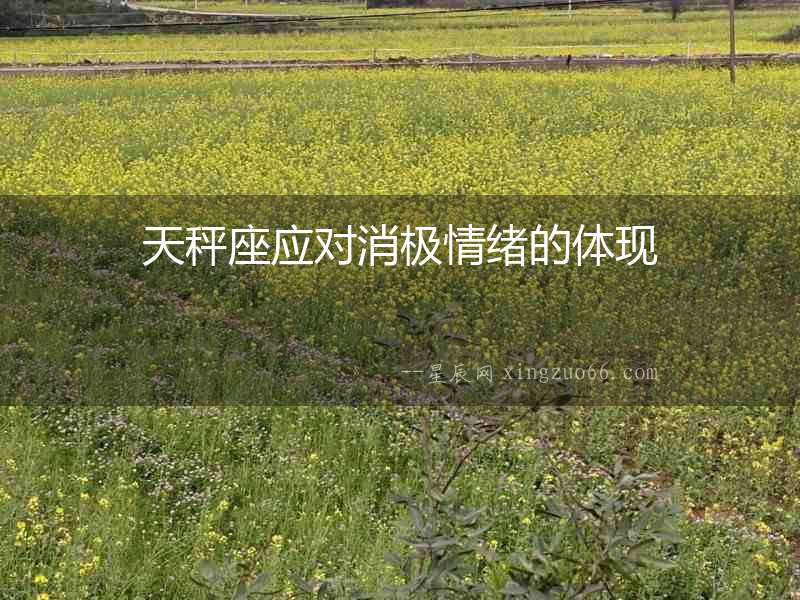 天秤座應對消極情緒的體現