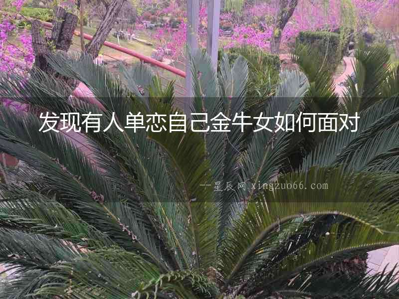 發(fā)現(xiàn)有人單戀自己金牛女如何面對(duì)