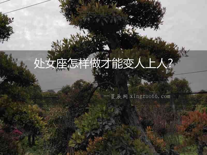 處女座怎樣做才能變人上人？