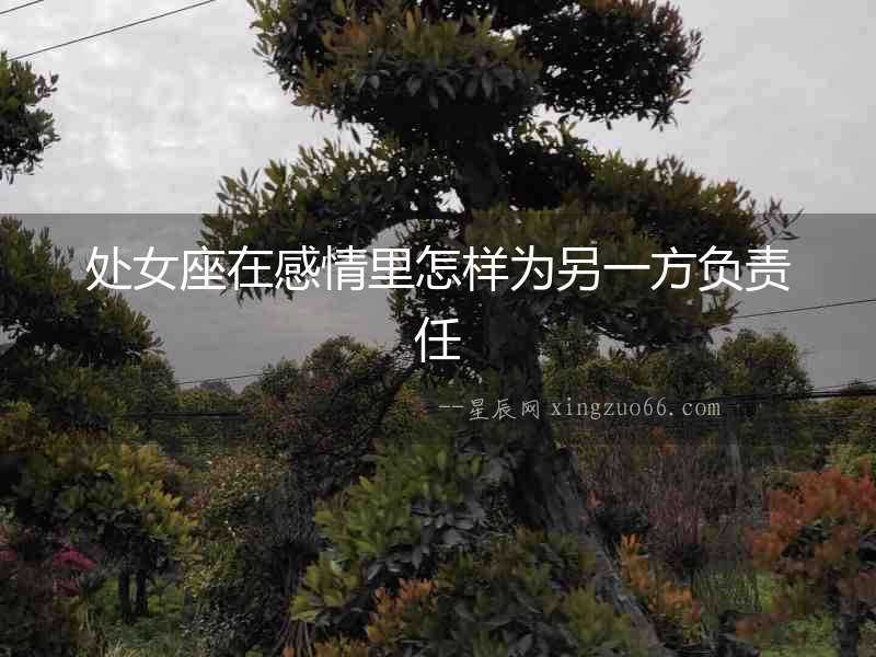 處女座在感情里怎樣為另一方負責任