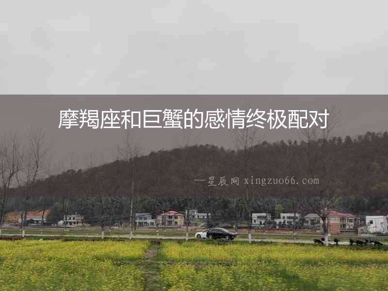 摩羯座和巨蟹的感情終極配對