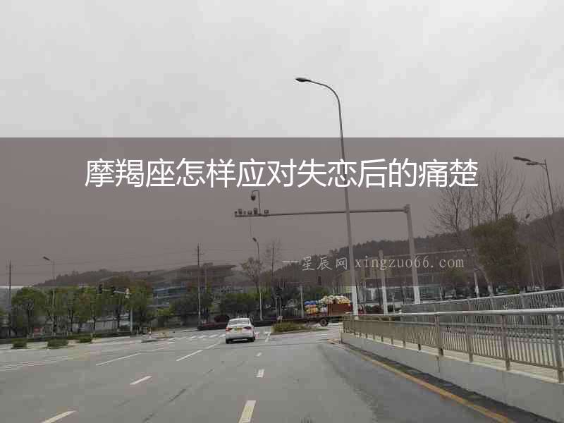 摩羯座怎樣應對失戀后的痛楚