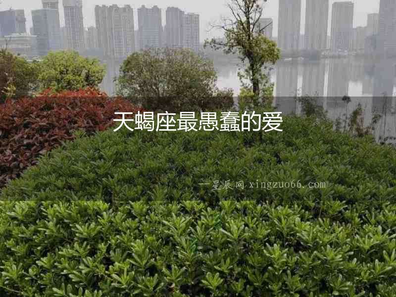 天蝎座最愚蠢的愛(ài)