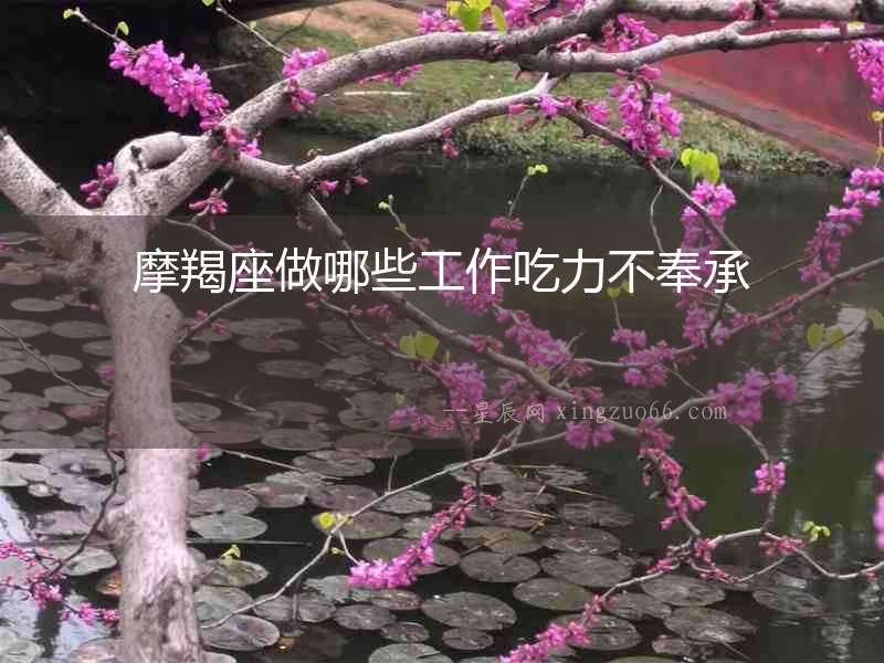 摩羯座做哪些工作吃力不奉承