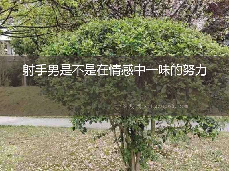 射手男是不是在情感中一味的努力
