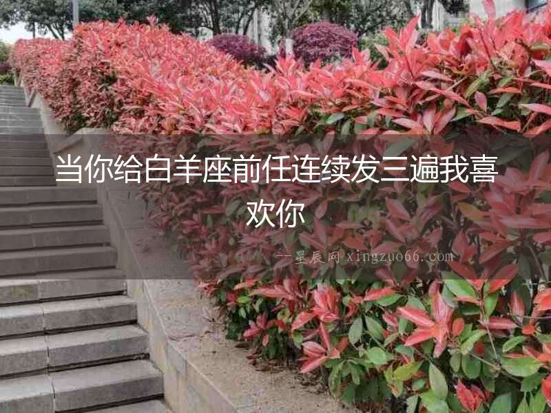 當你給白羊座前任連續發三遍我喜歡你