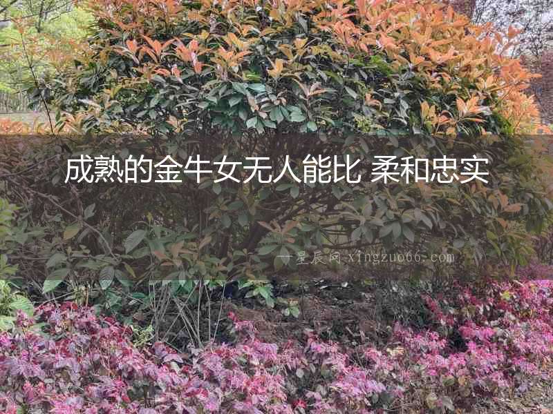 成熟的金牛女無人能比 柔和忠實