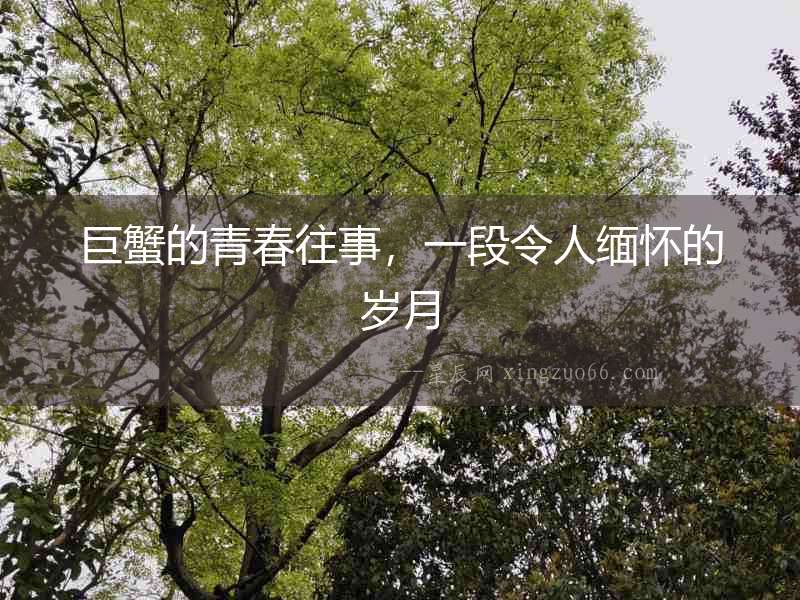 巨蟹的青春往事，一段令人緬懷的歲月