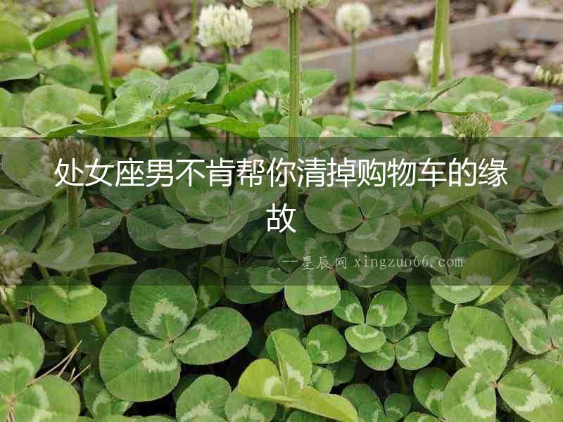 處女座男不肯幫你清掉購物車的緣故