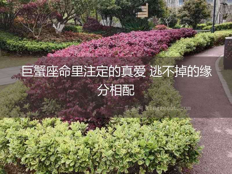 巨蟹座命里注定的真愛 逃不掉的緣分相配