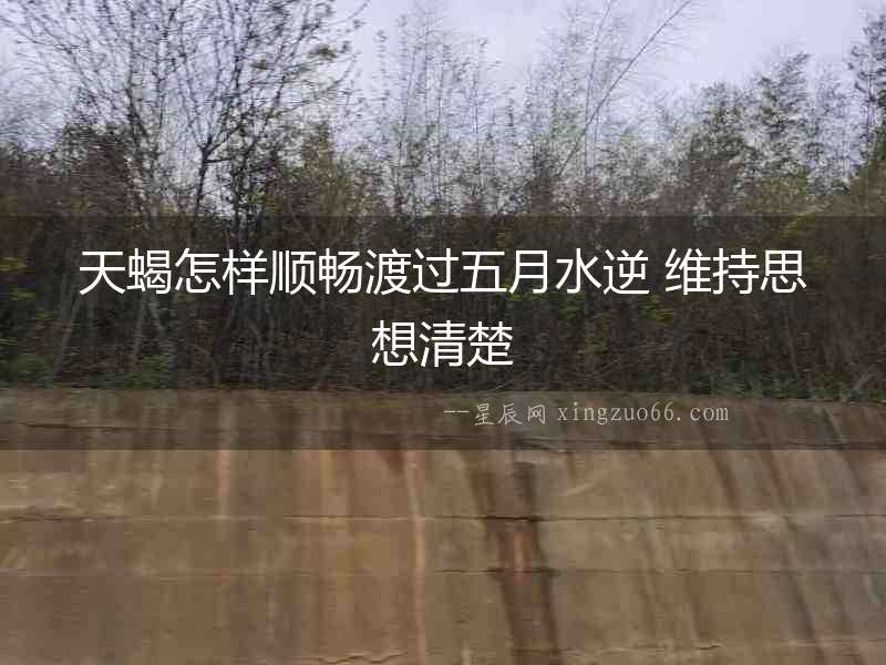 天蝎怎樣順暢渡過五月水逆 維持思想清楚
