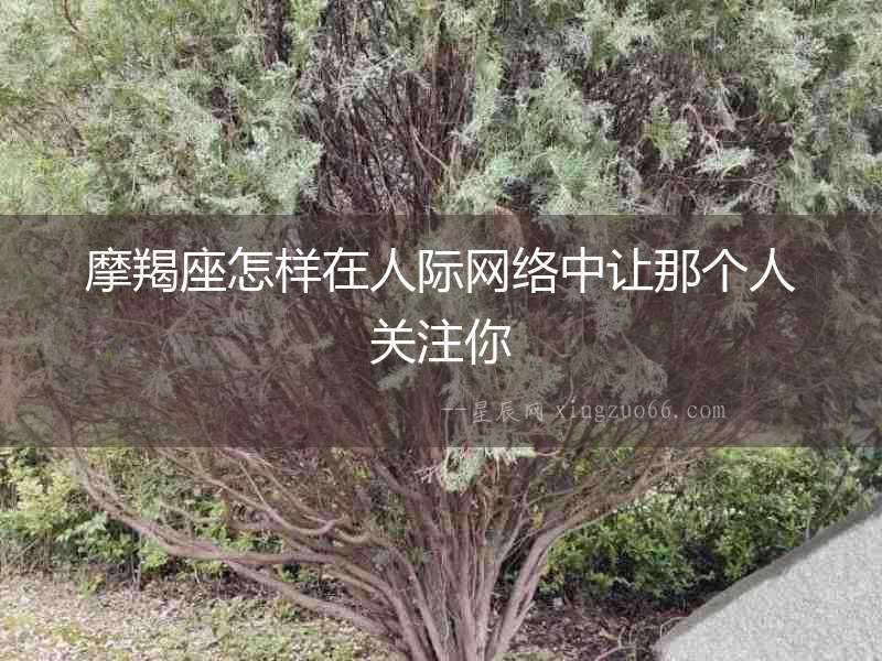 摩羯座怎樣在人際網(wǎng)絡(luò)中讓那個(gè)人關(guān)注你