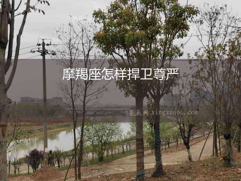 摩羯座怎樣捍衛尊嚴