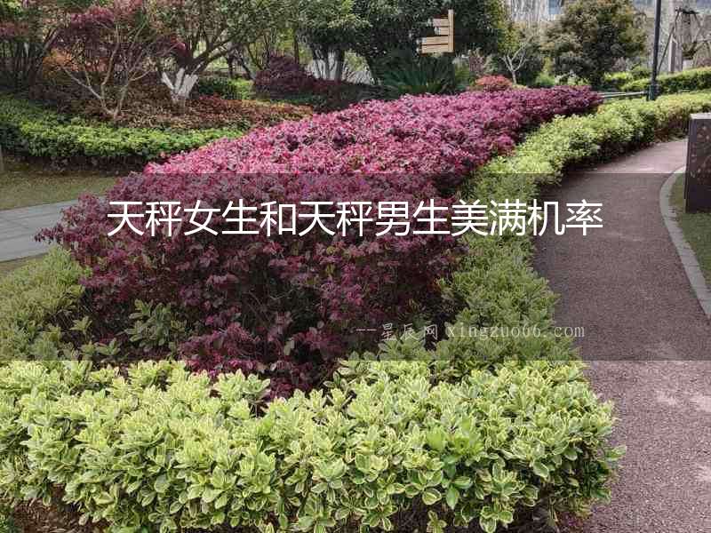 天秤女生和天秤男生美滿機率
