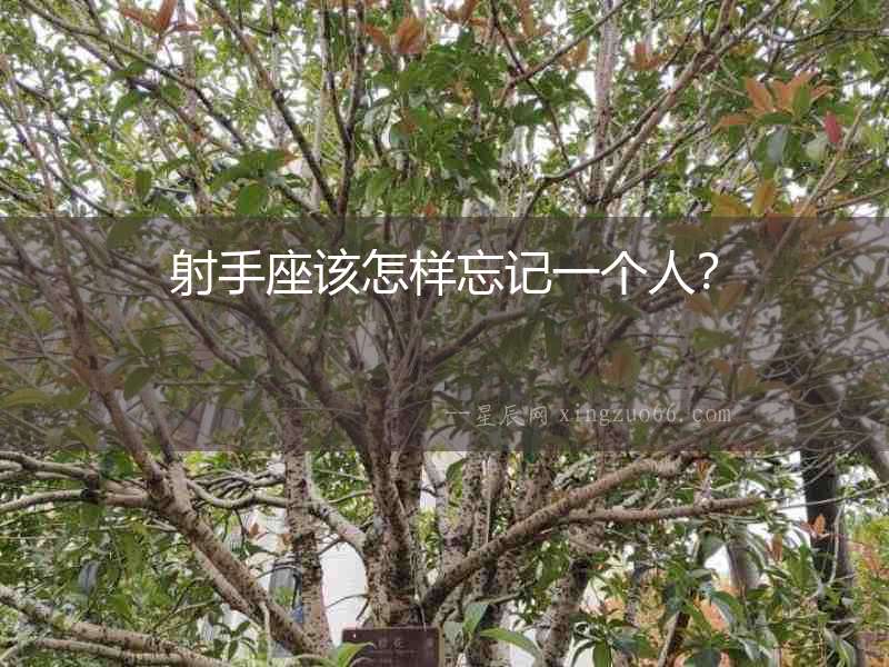 射手座該怎樣忘記一個人？