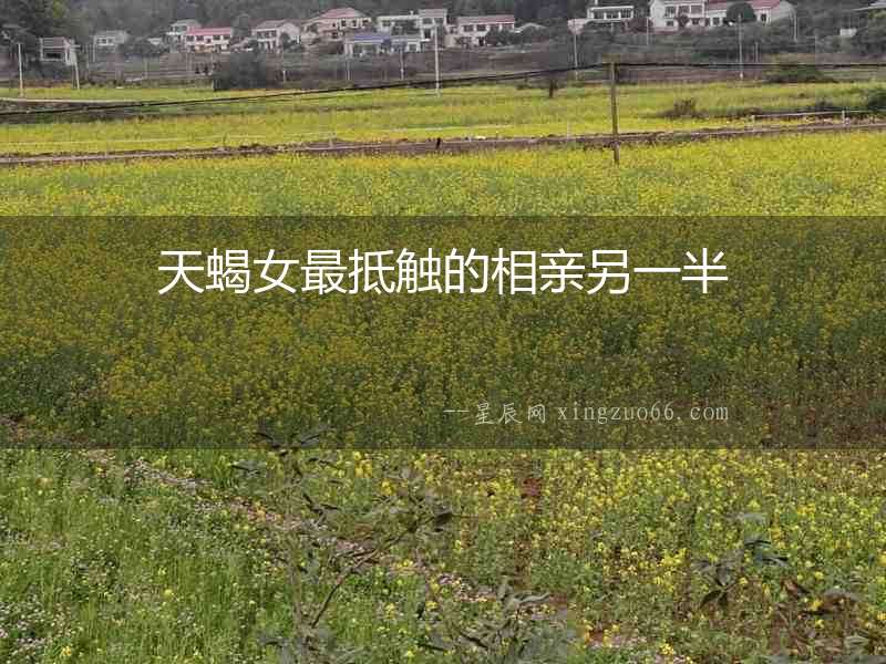 天蝎女最抵觸的相親另一半