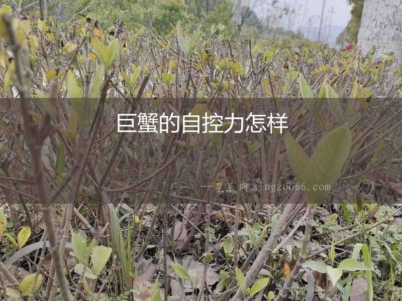 巨蟹的自控力怎樣