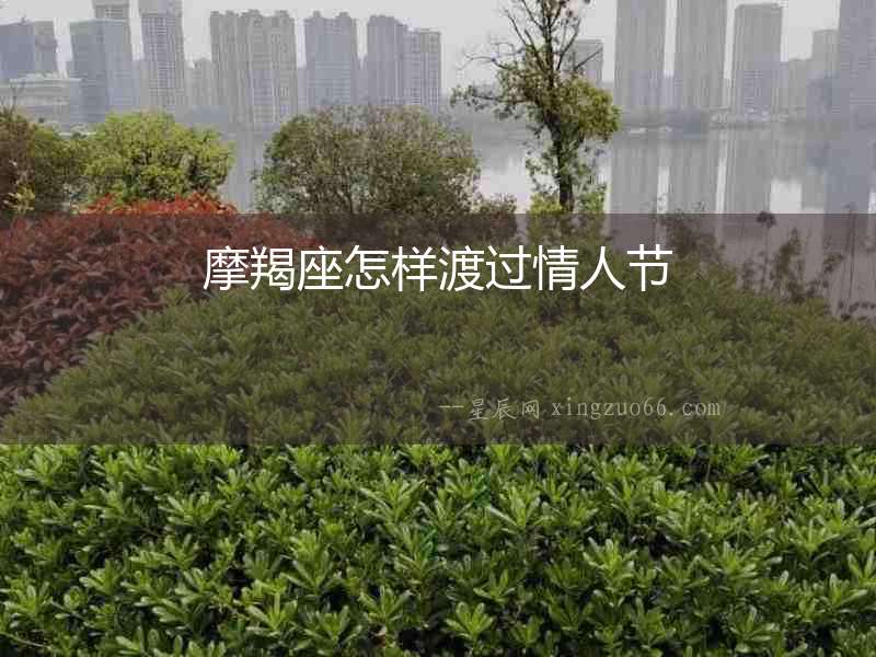 摩羯座怎樣渡過情人節