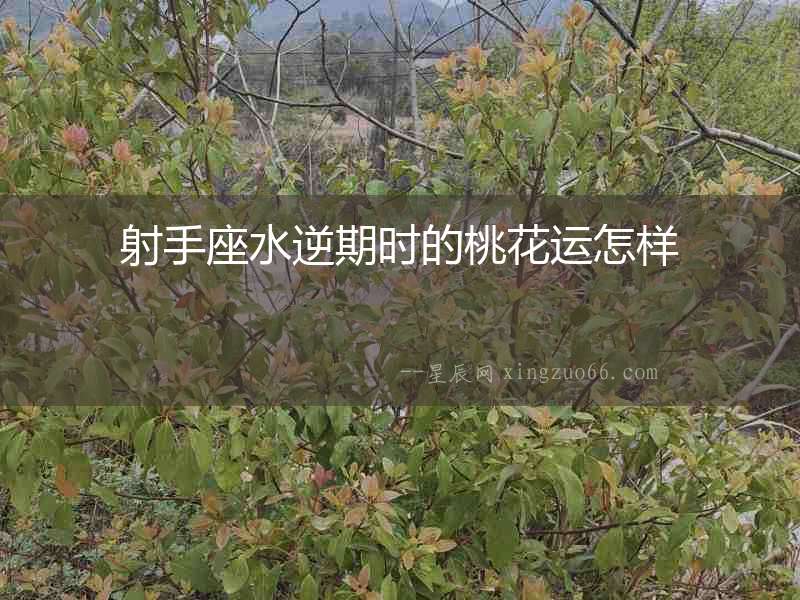 射手座水逆期時的桃花運怎樣