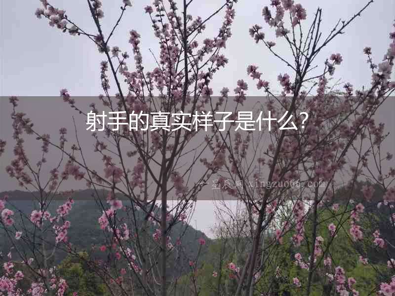 射手的真實樣子是什么？