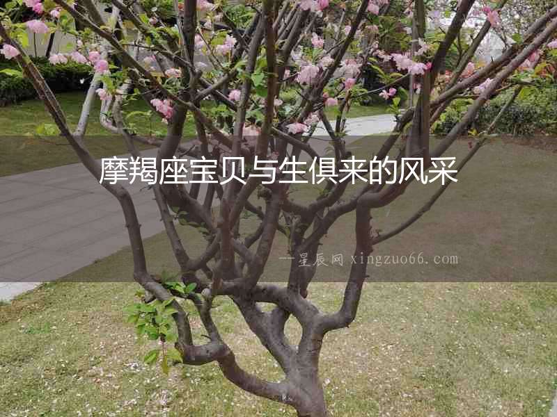 摩羯座寶貝與生俱來的風采